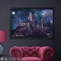 TENYO Harry Potter Hogwarts Castle at Night 1000-Piece Glow-in-the-Dark Jigsaw Puzzle