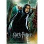 TENYO Harry Potter Severus Snape 108-Piece Jigsaw Puzzle