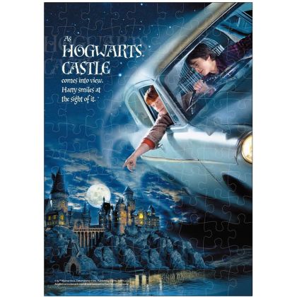 TENYO Harry Potter Flying...