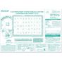 TENYO Child Puzzle Pokémon Learn Hiragana! (MC-47-633) – 47 Pieces