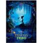 TENYO 266-Piece Disney Princess and the Frog Stained Art Jigsaw Puzzle