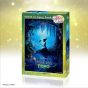 TENYO 266-Piece Disney Princess and the Frog Stained Art Jigsaw Puzzle