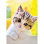 EPOCH 108-Piece Jigsaw Puzzle – “Nyan Darou?” (Cat Edition)