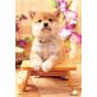 EPOCH 300-Piece Jigsaw Puzzle – “Wanko Biyori” (Dog Edition)