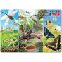 TENYO 60-Piece Child's Puzzle – Insect Encyclopedia (Gakken's Zukan LIVE)