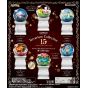 RE-MENT Pokémon Terrarium Collection 15 – 1BOX (6pcs)