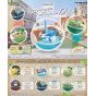 Re‑Ment Pokémon Terrarium Collection 12 “Relaxing Moments” Miniature Bonsai Diorama Box – 1 BOX (6 pcs)