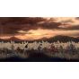Soft Source Last Time I Saw You - PlayStation 5