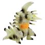 CCP Middle Size Series Gamera Vol.6 Giant Legion (Luminous Black Ver.)