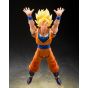 TAMASHII NATIONS Super Saiyan Son Goku (The Final Battle Begins) (145mm) (Japanese Import)