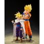 TAMASHII NATIONS Super Saiyan Son Goku (The Final Battle Begins) (145mm) (Japanese Import)