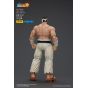 JOYTOY The King of Fighters 98 Ultimate Match Hero Team Goro Daimon Action Figure
