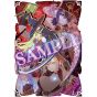 INTI CREATES MaJyo GaMi -The Witch of Luludidea- (Limited Edition) - Nintendo Switch 2
