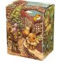 Pokemon TCG Eevee Heroes - Eevee Set