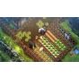 Nippon1 Hono Kurashi no Niwa - PlayStation 5