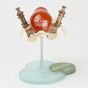 Model Squad IMAGINARY DEVICE 01 GOLD FISH AKE Plastic Model Kit
