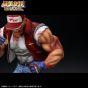 Studio24 SNK Neo Geo THE KING OF COLLECTORS’24: Terry Bogard HG Damage Ver. Non-scale Figure