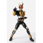 Bandai TAMASHII NATIONS S.H.Figuarts Kamen Rider Agito Ground Form 25th Anniversary Ver.