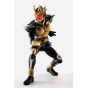 Bandai TAMASHII NATIONS S.H.Figuarts Kamen Rider Agito Ground Form 25th Anniversary Ver.