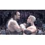 THQ WWE 2009 SmackDown vs Raw (PlayStation 3)