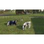 GIANTS Software – Farming Simulator 26: Nintendo Switch Edition (Nintendo Switch)