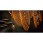 Oizumi Amuzio Bienen Simulator Sony Playstation 4