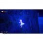 PLAYISM GIRAFFE UND ANNIKA Playstation 4 PS4