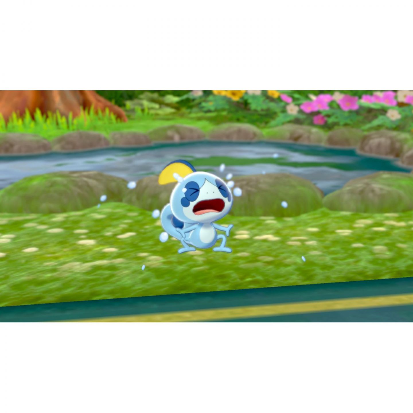 Pokemon Sword Plus Expansion Pass - Nintendo Switch