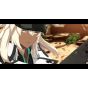 ARC SYSTEM WORKS GUILTY GEAR STRIVE Playstation 5 PS5