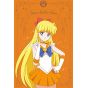 Bishōjo Senshi Sailor Moon Eternal - Postcard Book