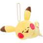 Pokemon Center Original Mascot Pokemon Yurutto Sleeping Pikachu