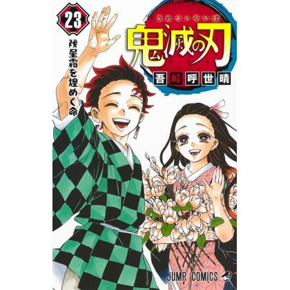 Kimetsu no Yaiba (Demon...