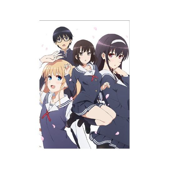 5pb.Games Saenai Heroine no Sodatekata [PS VITA software]