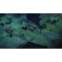 EXNOA Pathfinder: Kingmaker Definitive Edition PlayStation 4 PS4