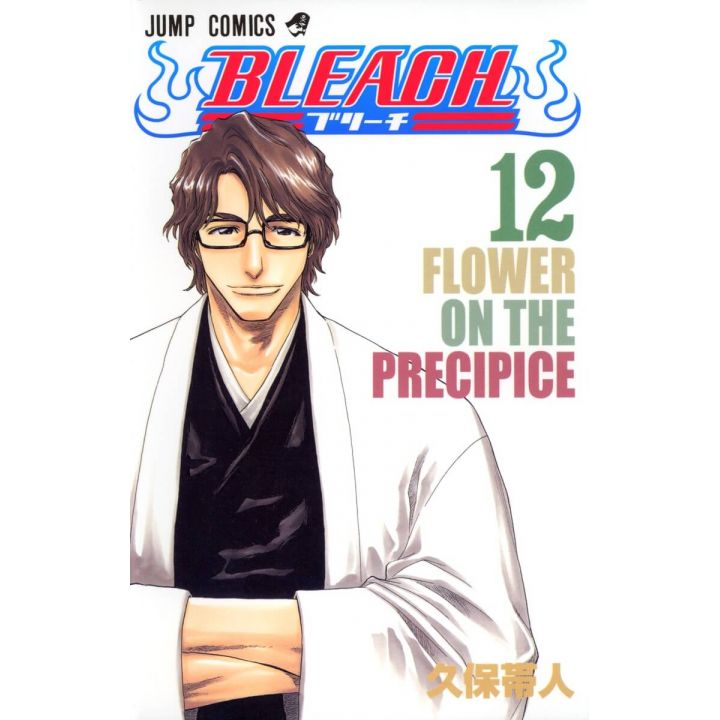 Bleach vol.12 - Jump Comics (version japonaise)