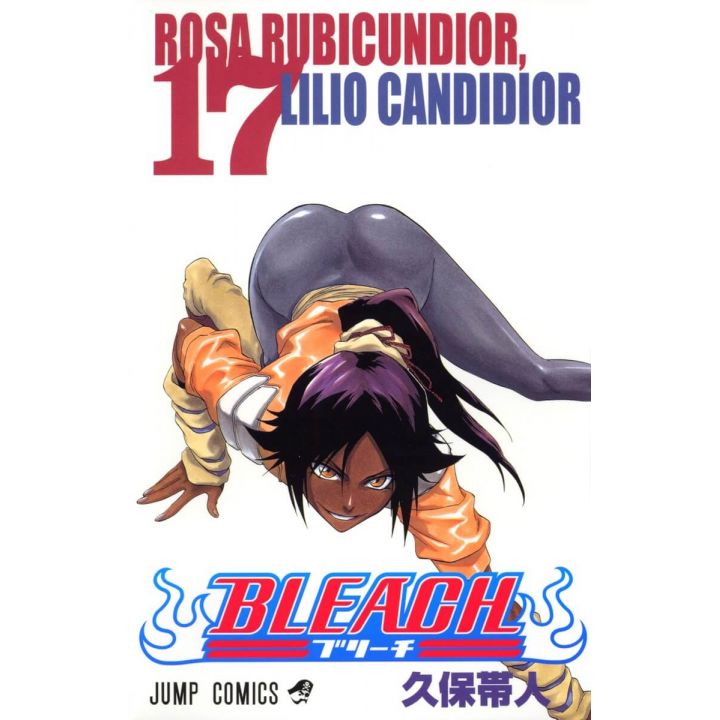 Bleach vol.17 - Jump Comics (japanese version)