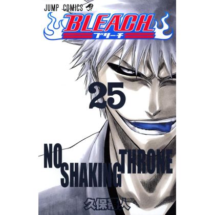 Bleach vol.25 - Jump Comics...