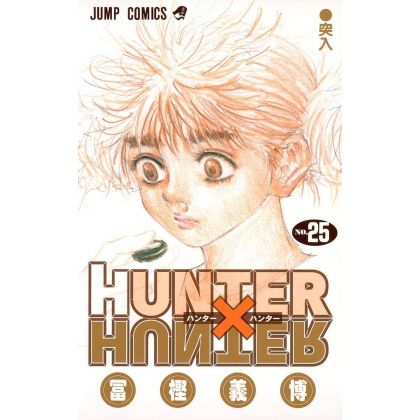HUNTER×HUNTER vol.25 - Jump...