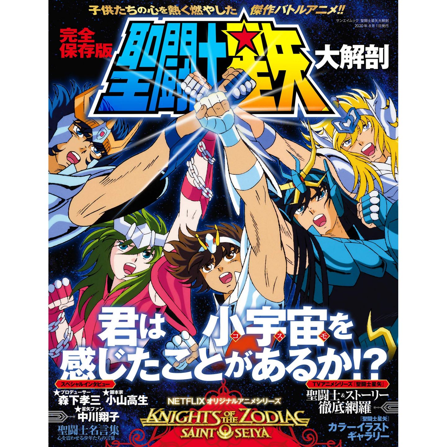 Mook Saint Seiya Anime Perfect Encyclopedia Manga Archive Series Sanei Book