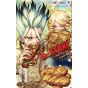 Dr.STONE vol.11 - Jump Comics (version japonaise)