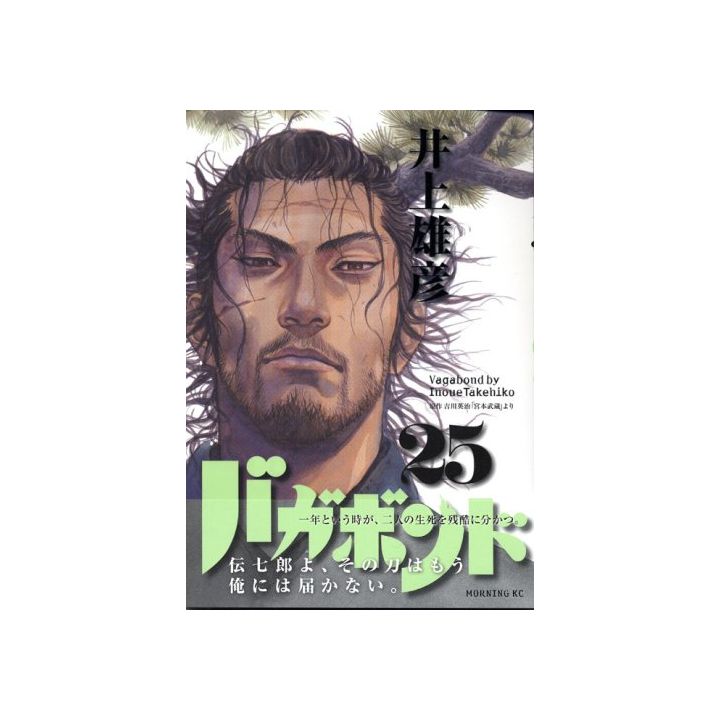 Vagabond vol.25 - Morning Comics (Japanese version)