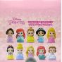 ENSKY Sofvi Puppet Mascot - Disney Princess Figure Box (10pcs)