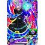 BANDAI Super Dragon Ball Heroes Raccoglitore ufficiale a 9 tasche