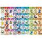 BEVERLY - POKEMON Learning the Japanese Syllabaries - 80 Piece Jigsaw Puzzle 80-019