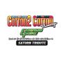 City Connection - Cotton Guardian Force Saturn Tribute Special Edition for Sony Playstation PS4
