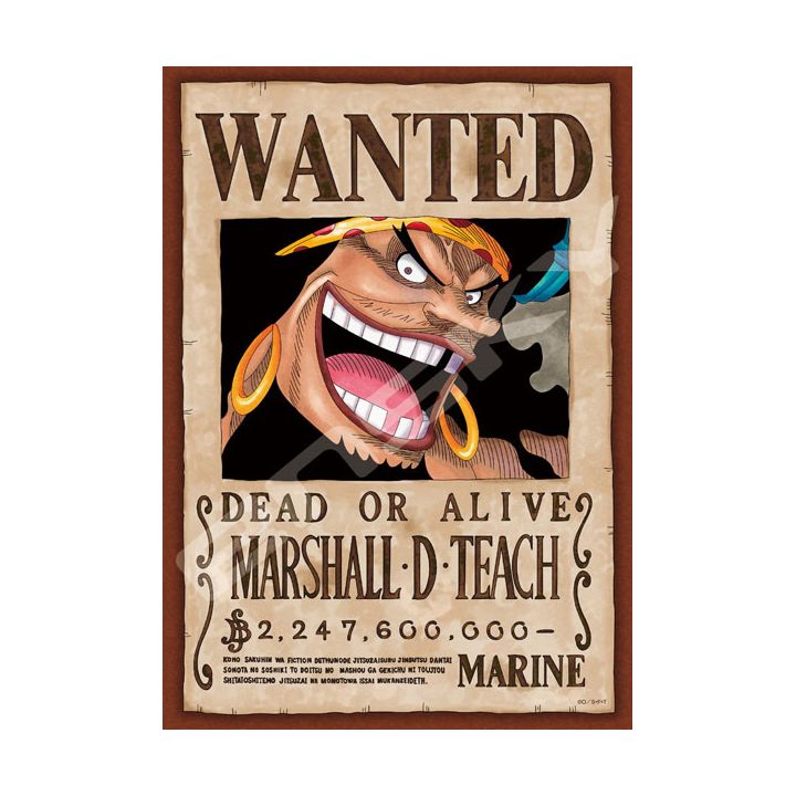 ENSKY - ONE PIECE Wanted: Marshall D. Teach (Blackbeard) - 208 Piece Jigsaw Puzzle 208-071