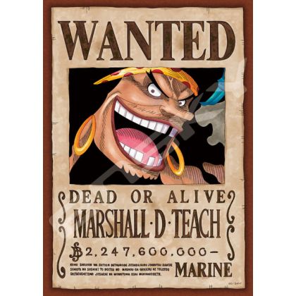 ENSKY - ONE PIECE Wanted :...