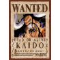 ENSKY - ONE PIECE Wanted : Kaido - Jigsaw Puzzle 208 pièces 208-074