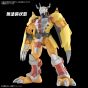 BANDAI Figure-rise Standard - Digimon - Wargreymon Modello Kit Figura