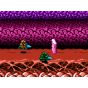 Columbus Circle - Battletoads für Famicom FC